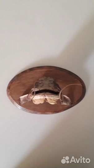 Чучело рыбы