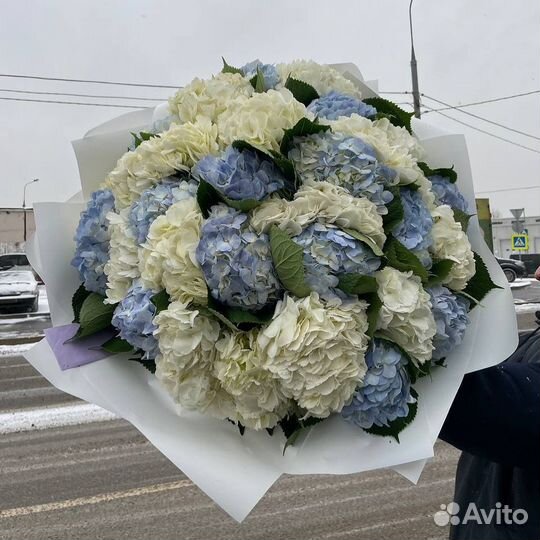 Букет из Гортензий