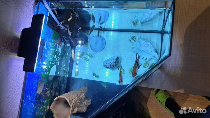 Аквариум 40литров с рыбками