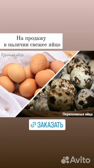 Яйца перепелиные и куриные домашние