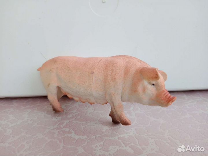 Животные разные