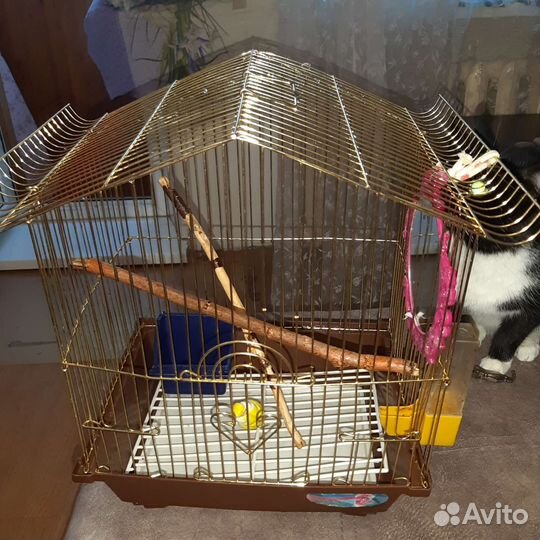 Клетка для птиц бу