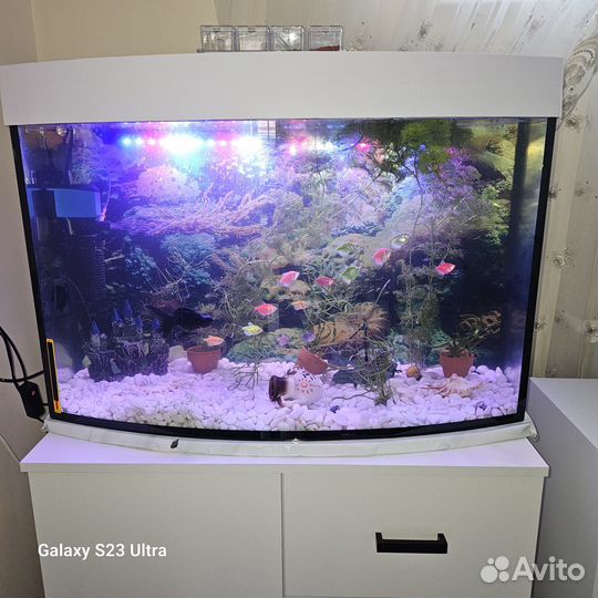 Аквариум с рыбками