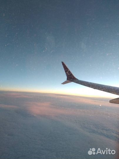 Репетитор по ивриту (в живую / zoom)