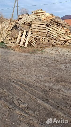 Продаю поддоны