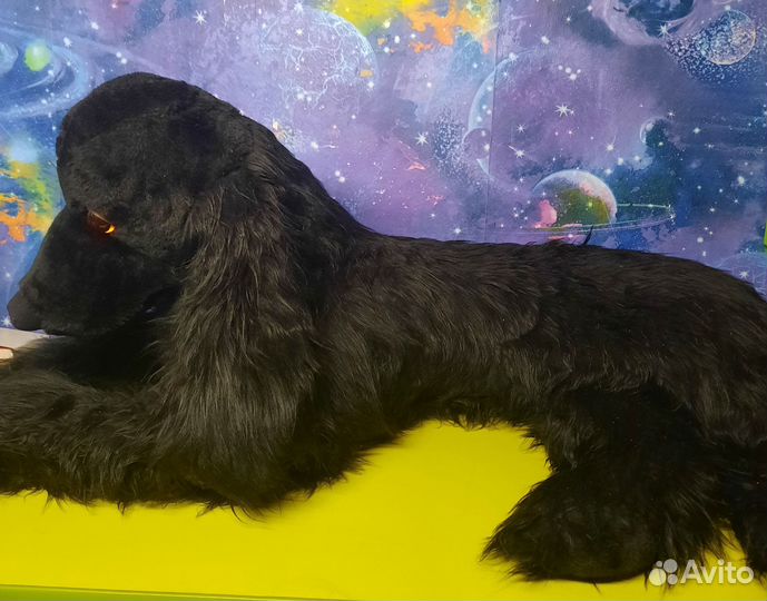 Собака большая