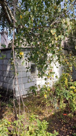 Дом 73 м² на участке 60 сот.