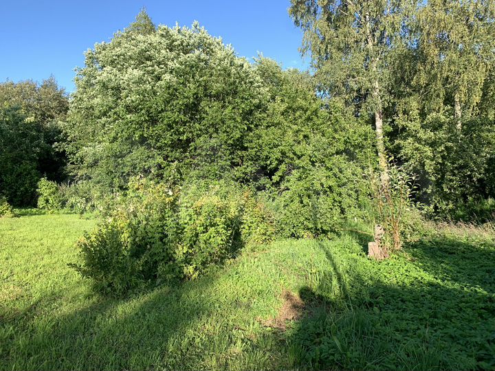 Участок 10 сот. (ИЖС)