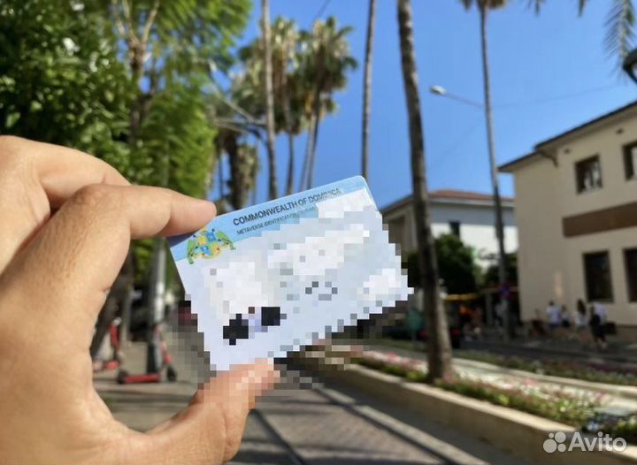 Цифровое гражданство Доминика