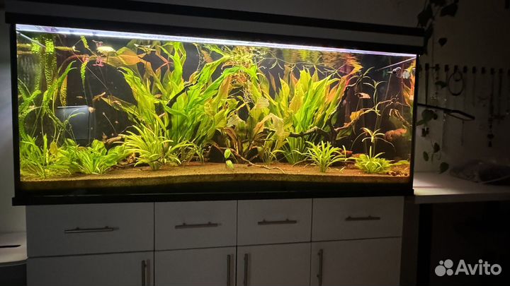 Аквариум 450л полностью укомплектованный