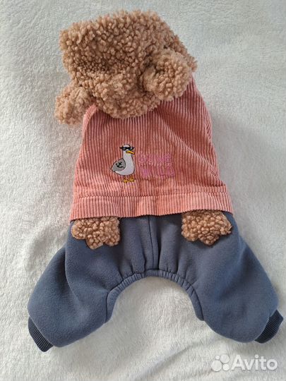 Одежда для маленьких собак