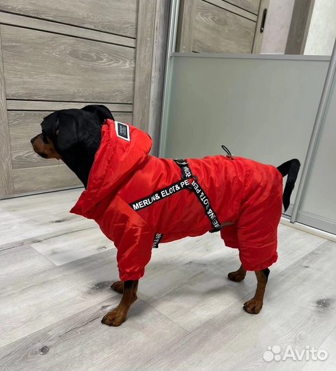 Комбинезон для собак дождевик новый