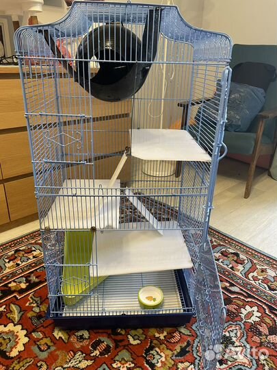 Большая клетка для крыс