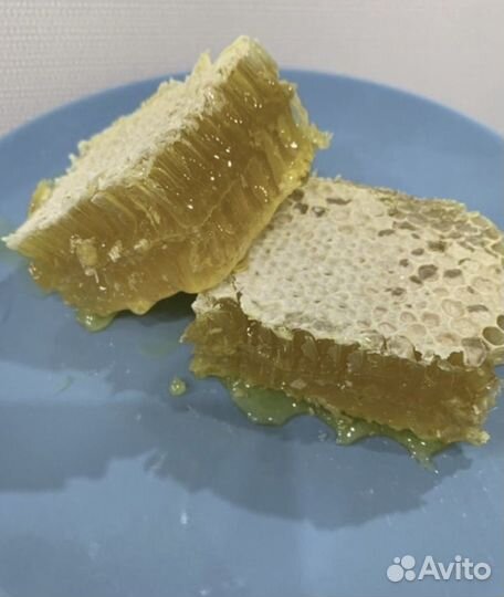 Свежий липовый мед 2023