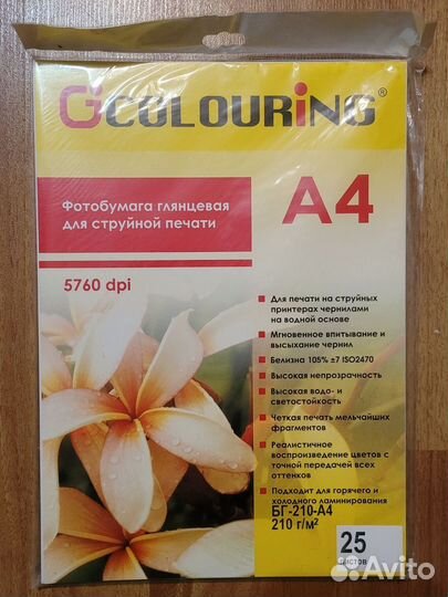 Фотобумага Epson Premium Glossy, Colouring