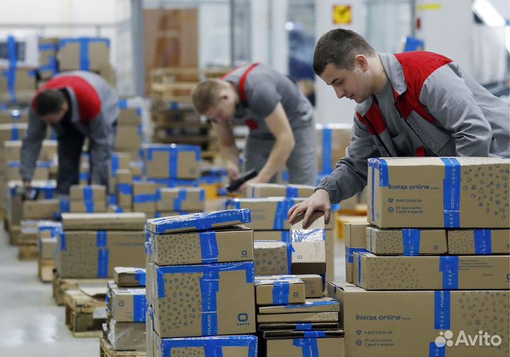 Сотрудник склада (Сборщик заказов) Ozon