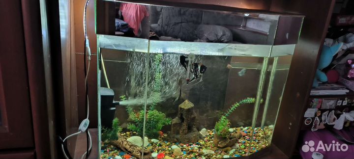 Аквариум