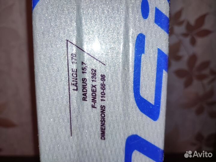 Горные лыжи