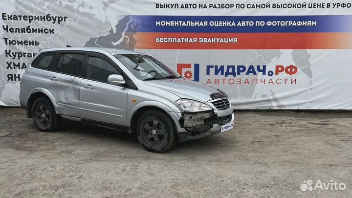 Накладка стекла заднего левого SsangYong Kyron (D2