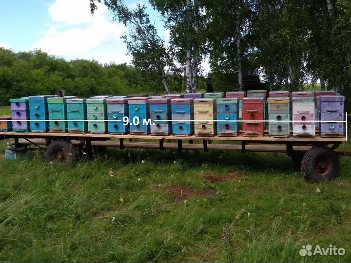 Прицеп для перевозки пчёл