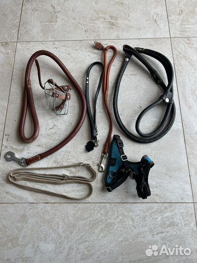 Будка, вольер, клетка и амуниция для собак