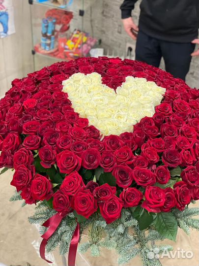 Розы 251 штука сердце