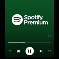 Spotify Premium DUO на 1 месяц