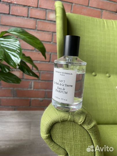 Thomas kosmala № 7 le sel de la terre