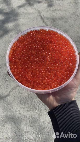 Красная икра горбуши