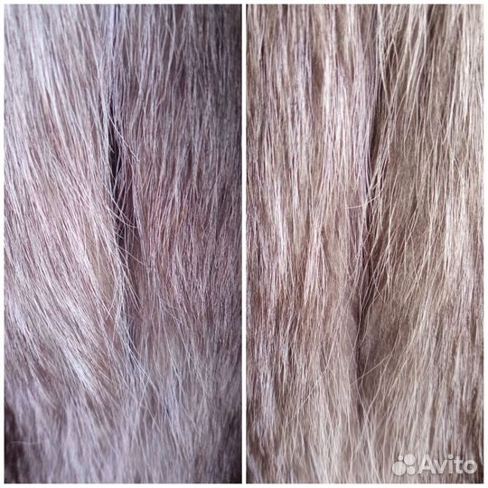 Шуба из енота