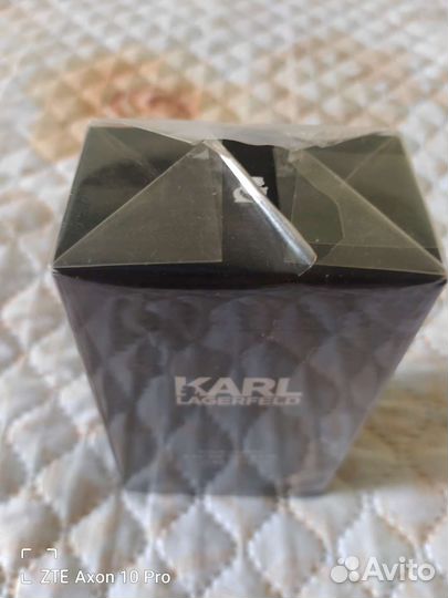 Karl lagerfeld, Франция