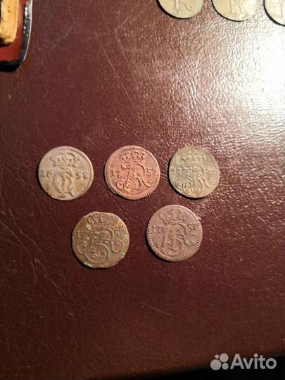 Сольды данцыг