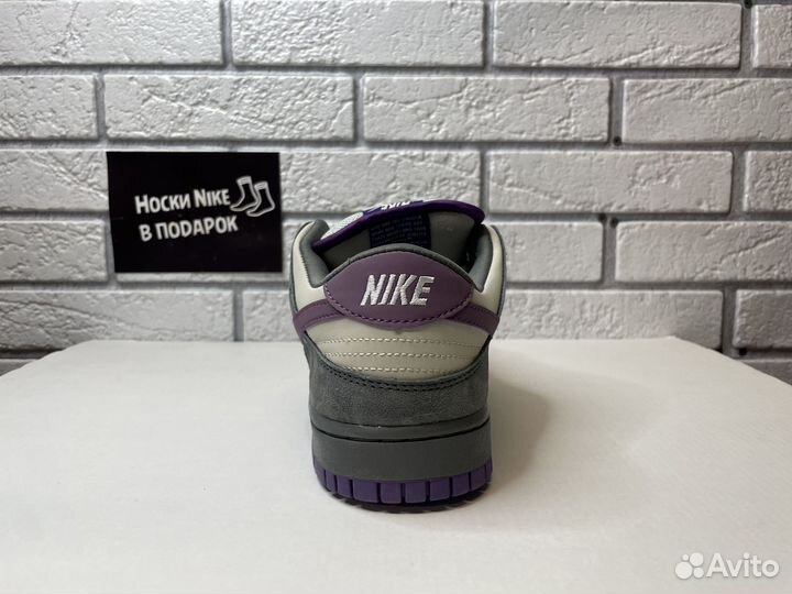 Nike Dunk SB Low Pigeon Purple