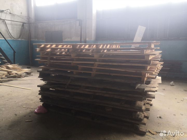 Европотдоны