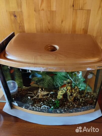 AguaPlus. На 50 литров