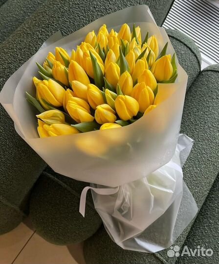 Тюльпаны