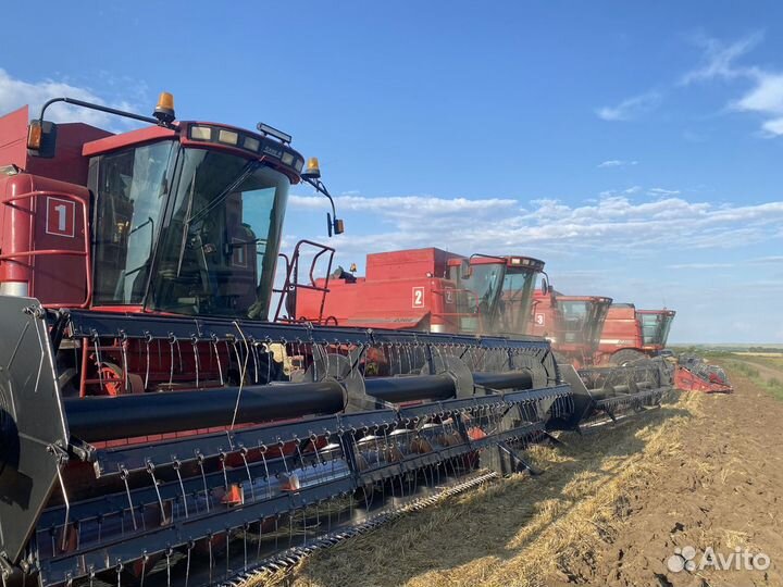 Уборка подсолнечника 2023