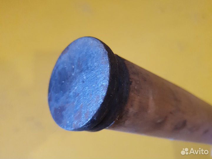 Лапа сапожная