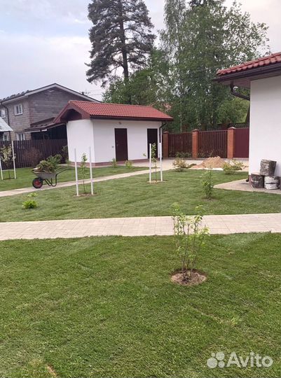 Рулонный газон 