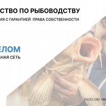 Агентство по рыбоводству в городе, Гомель