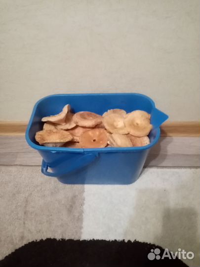 Грибы свежие красноголовики и волнушки