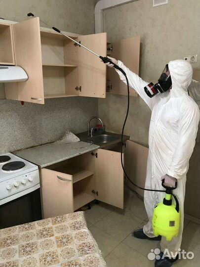 Уничтожение, постельных клопов, клещей, тараканов