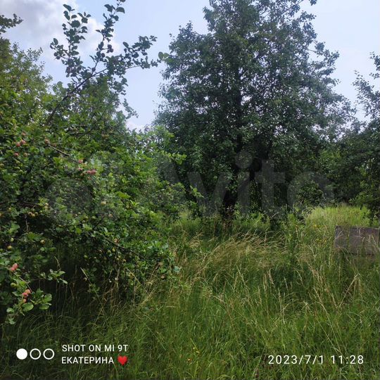 Участок 18 сот. (СНТ, ДНП)