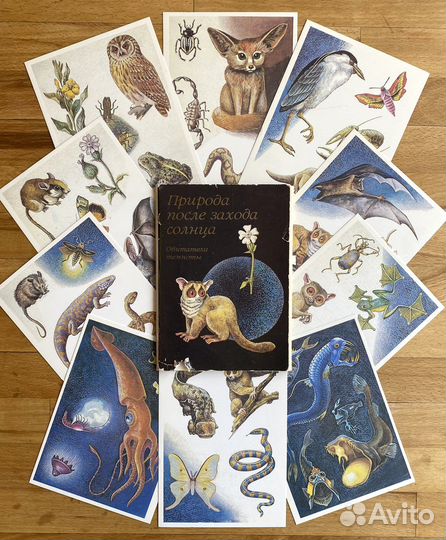 Винтажные иллюстр. обитателей темноты 16 шт. 1987