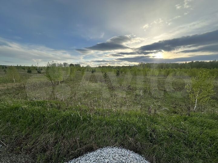 Участок 10 сот. (ИЖС)