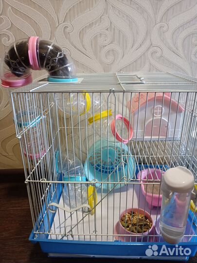 Клетка для сирийского хомяка