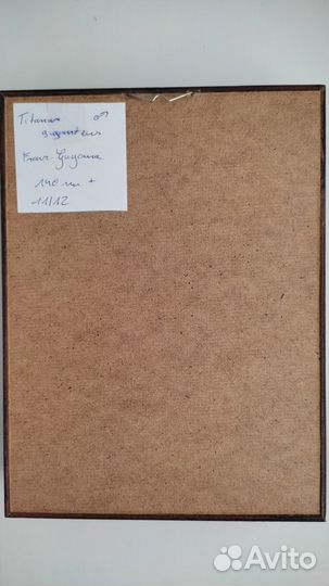 Жук Усач-титан Titanus giganteus в рамке под стекл