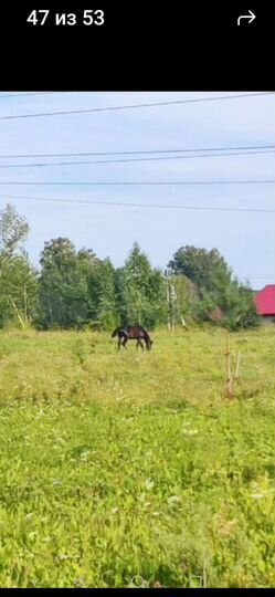 Участок 19,4 сот. (ИЖС)