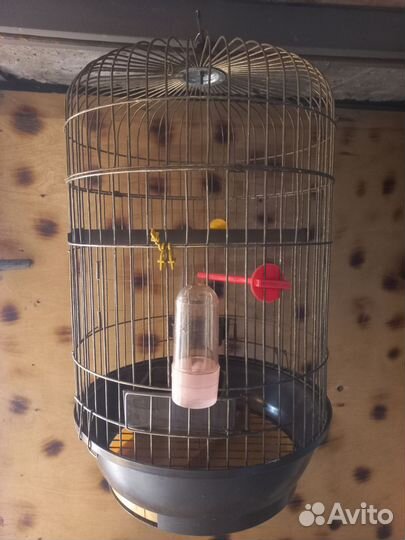 Клетка для крупного попугая
