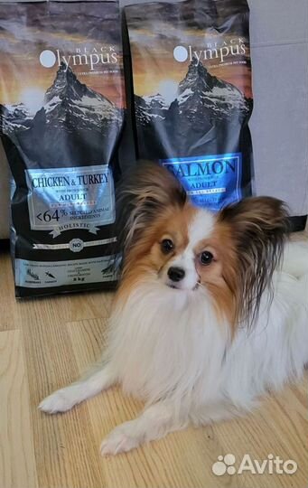 Корм для собак крупных пород Black Olympus